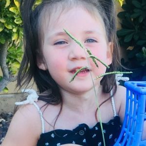 Meet your Posher, Hal